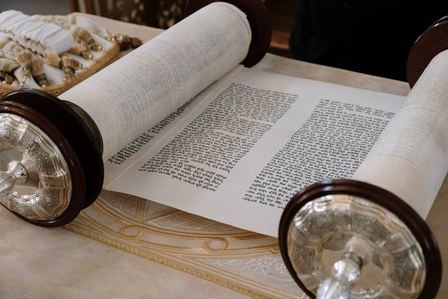 Prophetic Assignment Lion Bites – Global Prophetic Alliance – Heavenly Assignments, Heavenly ...